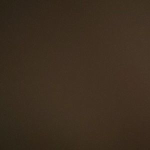 Meet your Posher, Ally